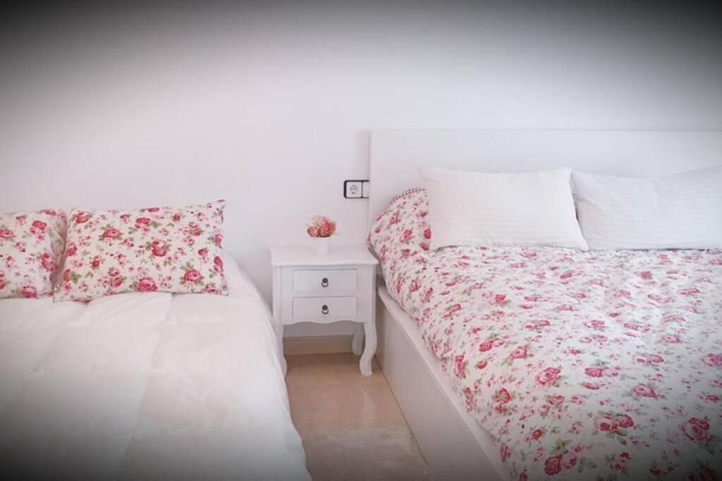Apartamento Pepa. En El Corazon Del Delta. Сан-Жауме-де-Энвежа Экстерьер фото